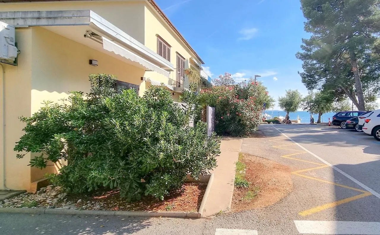 Fiore Three Novigrad