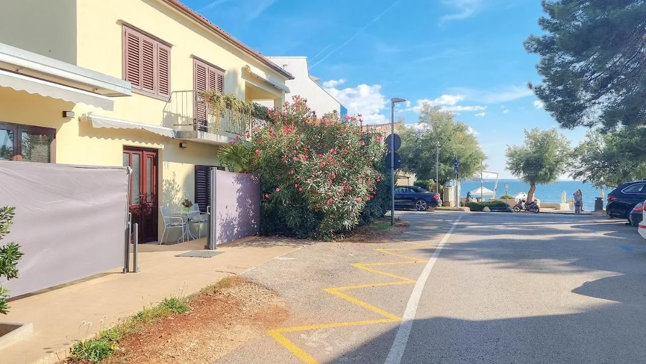 Fiore Three Novigrad Istria