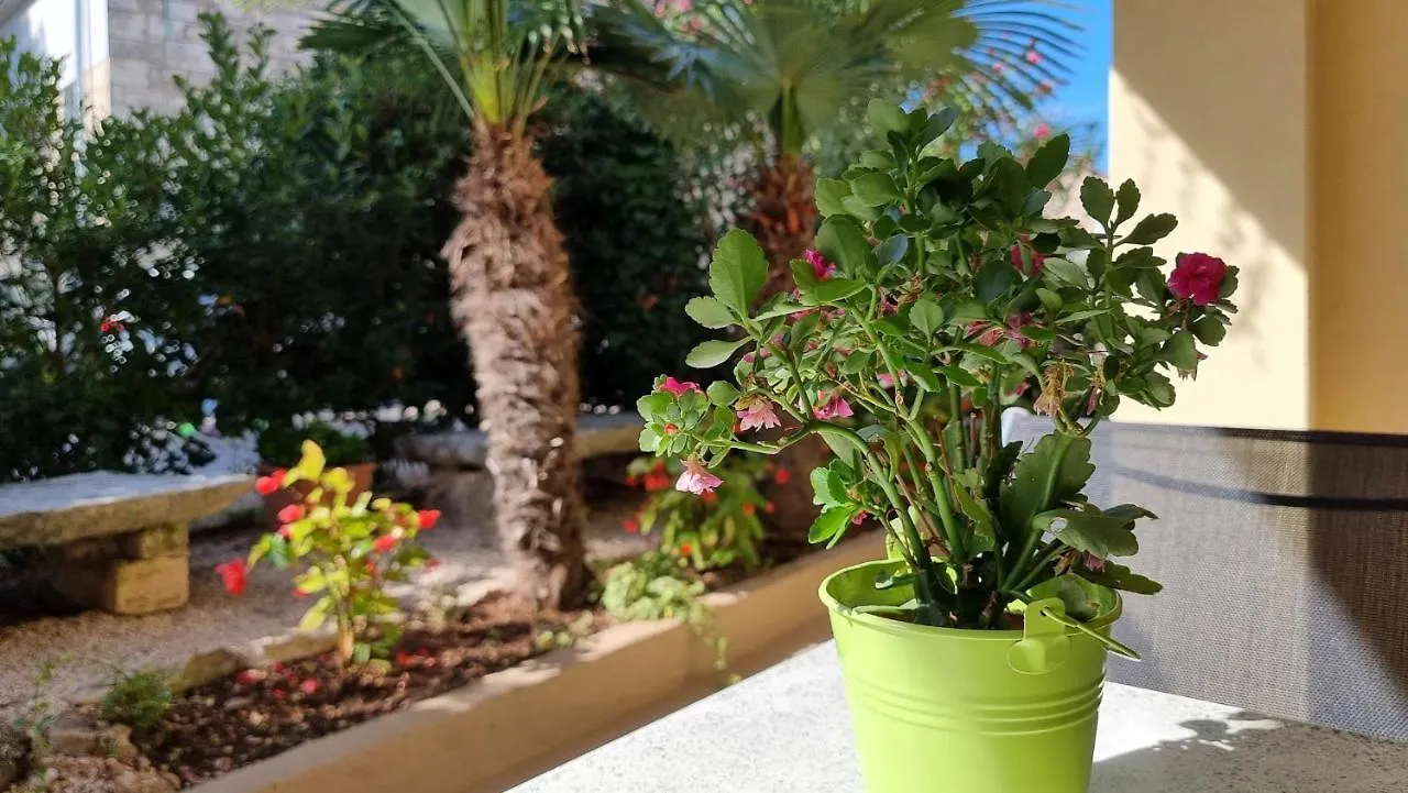 Apartment Fiore Three Novigrad  Croatia